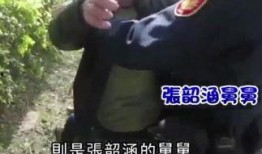 舅舅爆料视频大全下载,揭秘幕后真相，带你走进神秘世界
